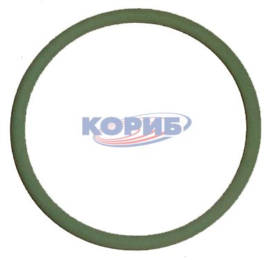 A0159974845 – Уплотнительное кольцо для КАМАЗа, A0159974845