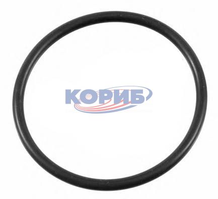 A0209971148 – Уплотнительное кольцо (MERCEDES – BENZ) для КАМАЗа, A0209971148